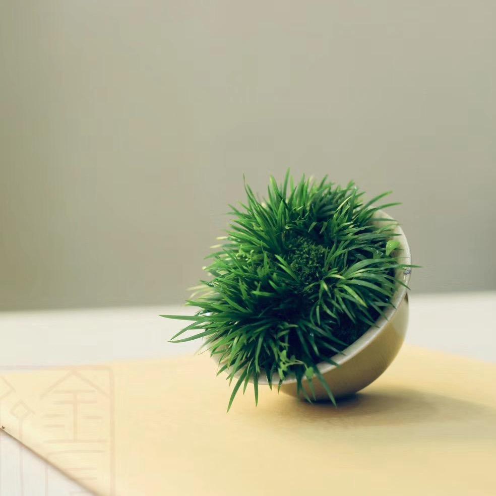 菖蒲汲泉斋