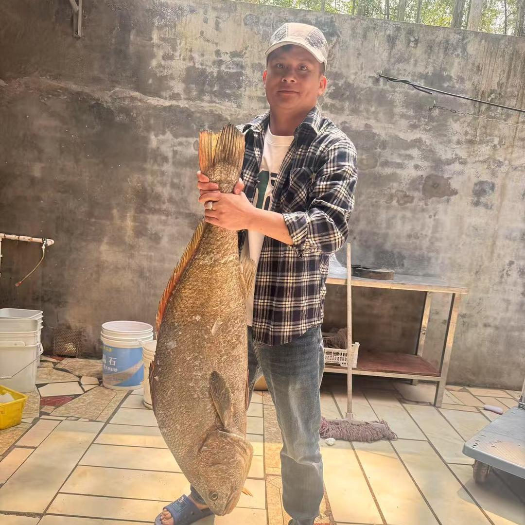 海鲜小镇