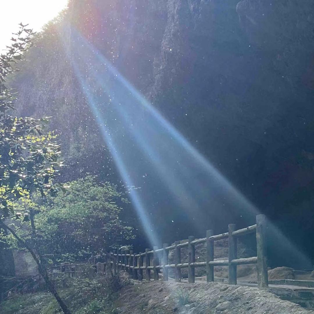 清风徐来～