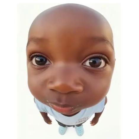 甜巧栗（十二妹版）