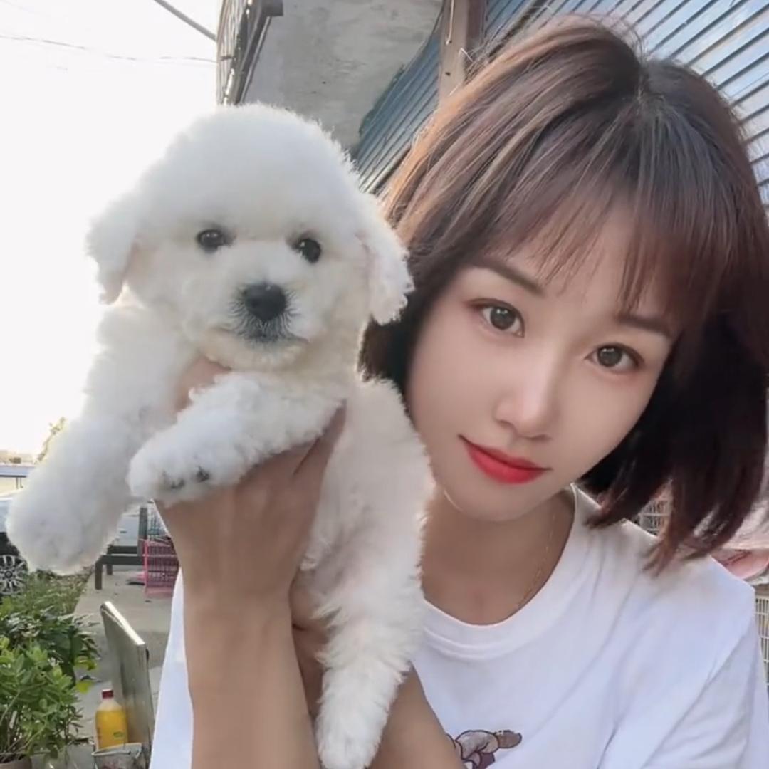 唐河养宠物的小姐姐（自家繁殖）