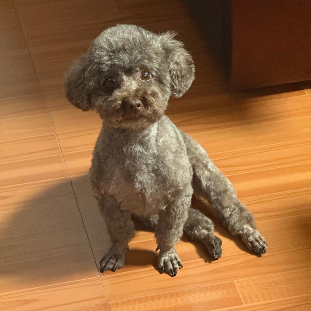 彭