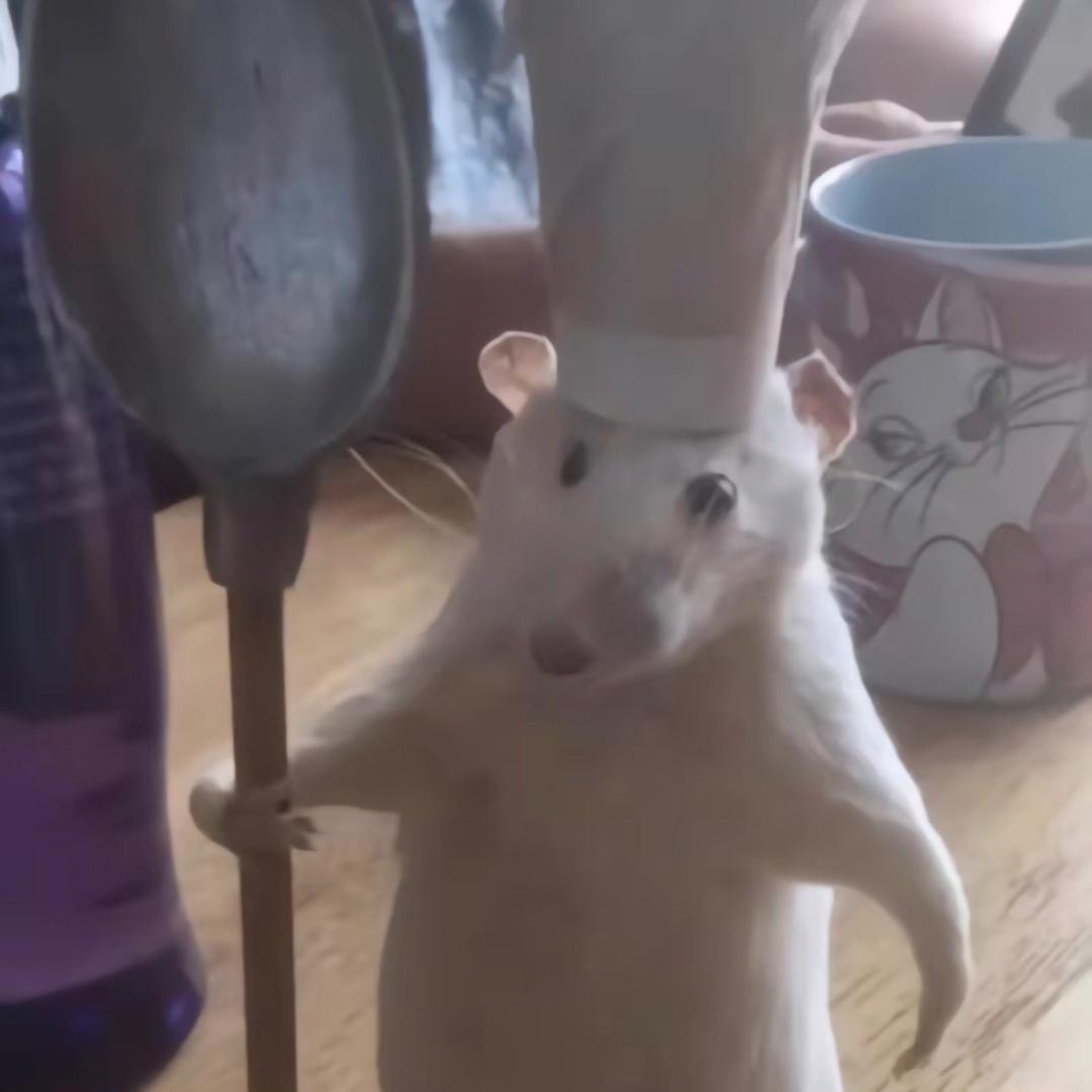 ₍˄·͈༝·͈˄*₎◞ ̑̑