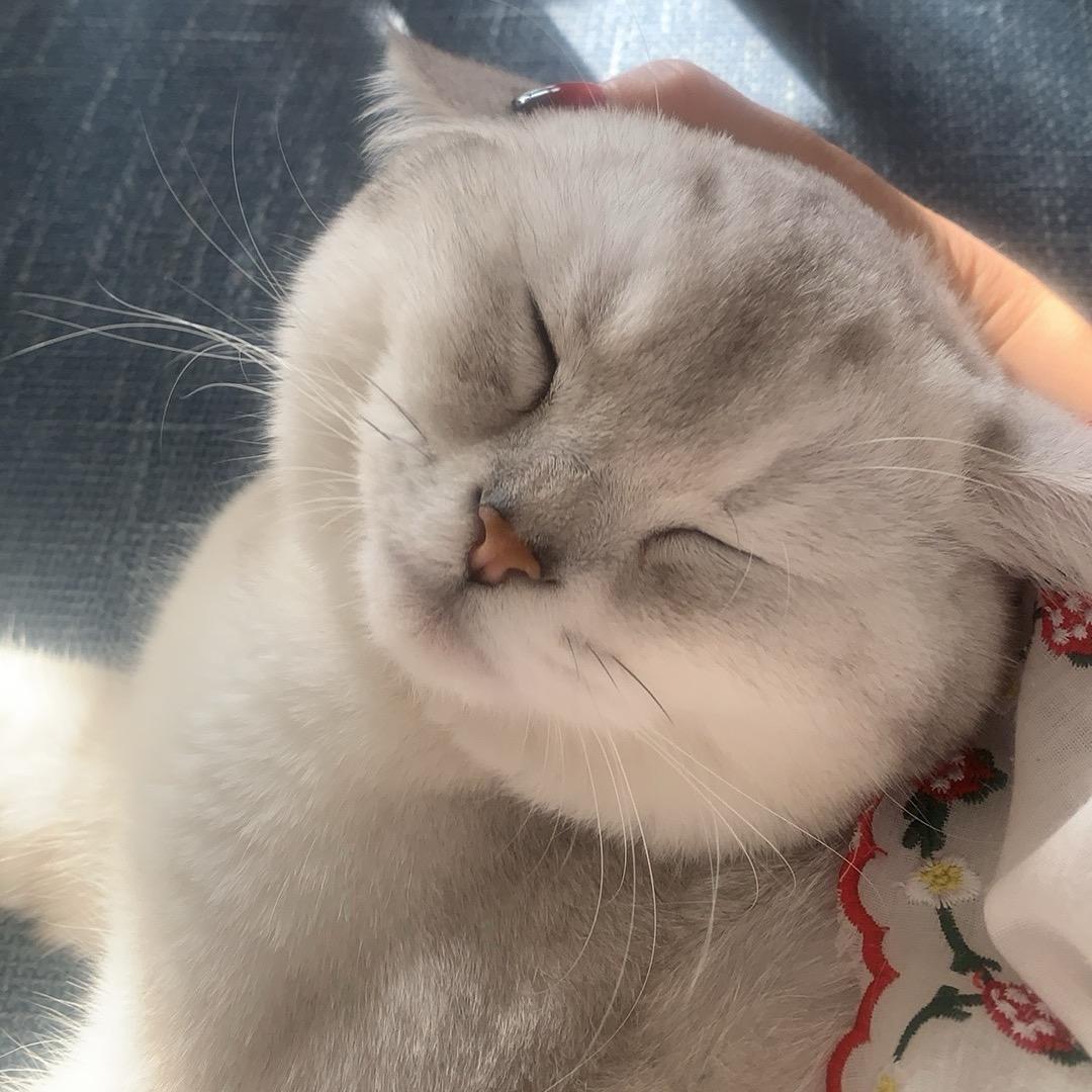 🌹花
