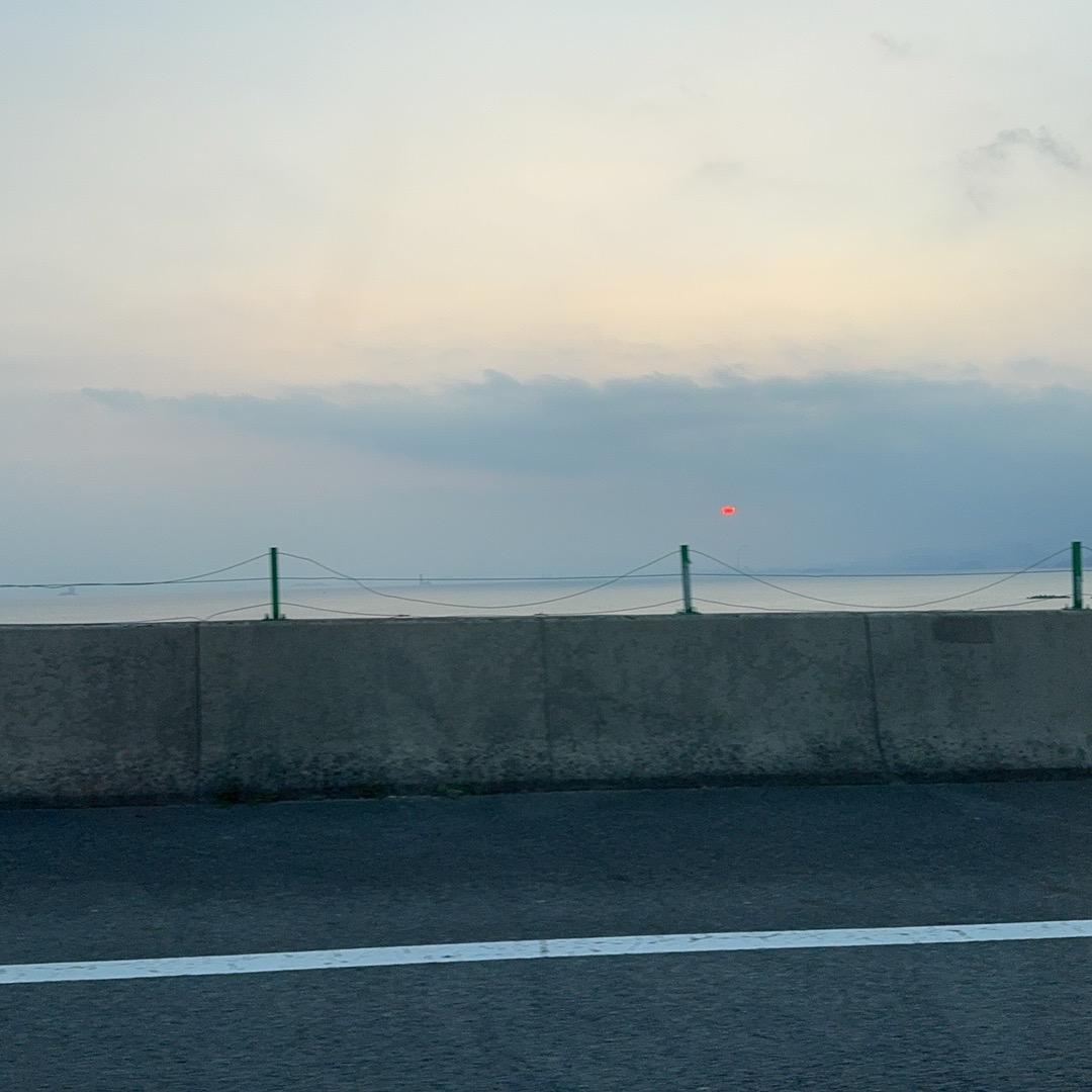 逆风翻盘 向阳而生。