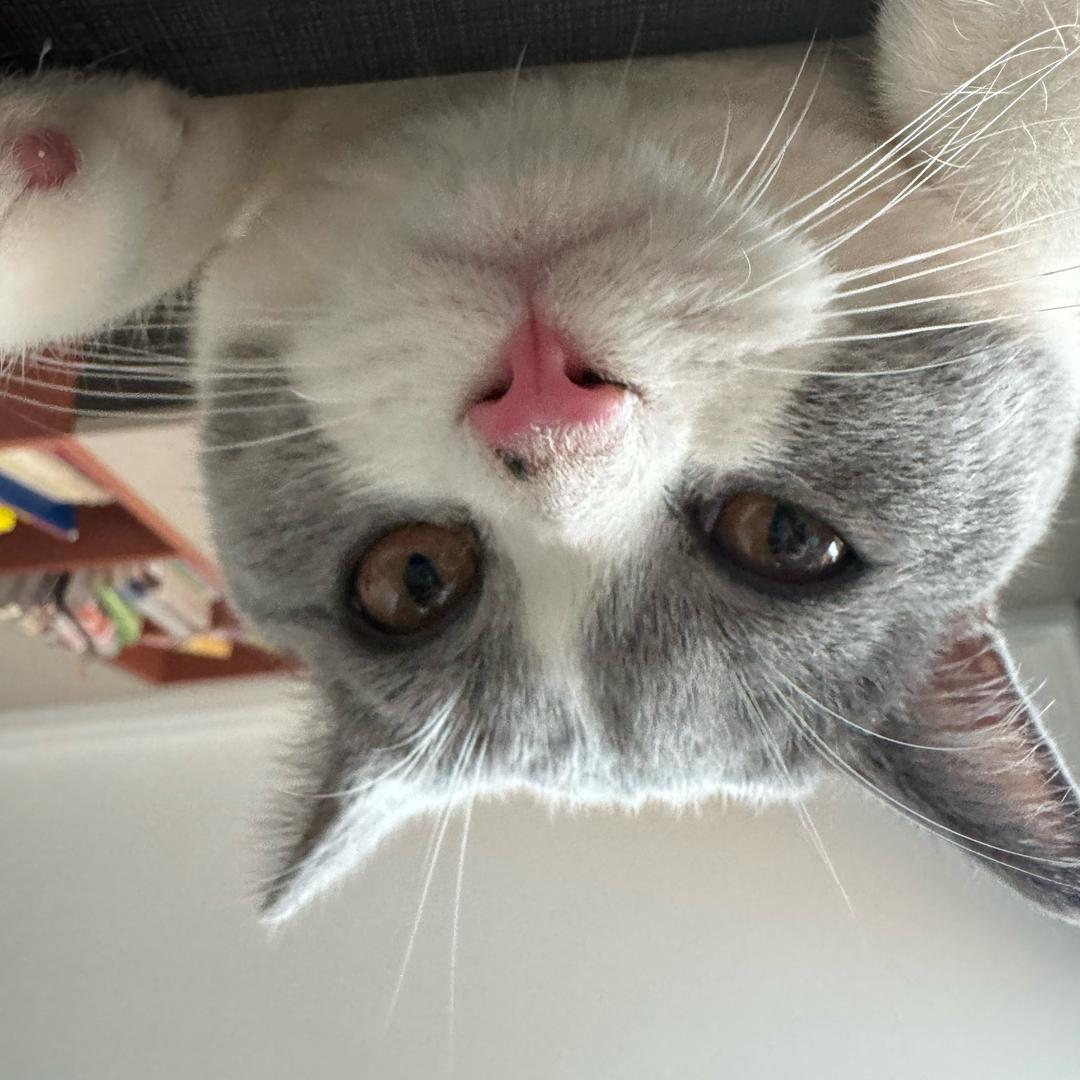 东北特产小王🎀