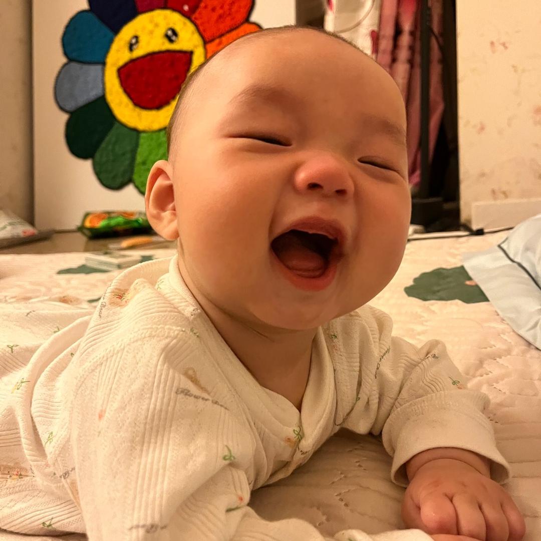 小飞机生活推荐