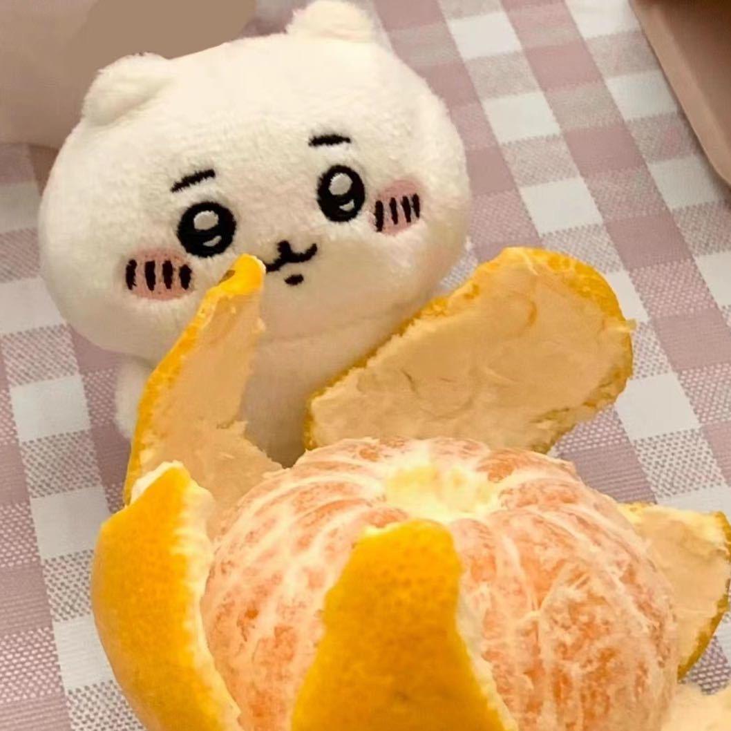 高冷的袁