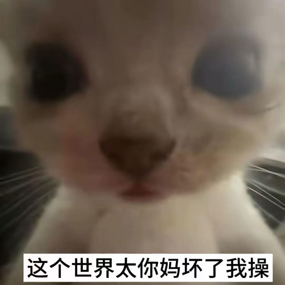 图座