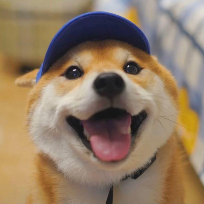 霈泽爹