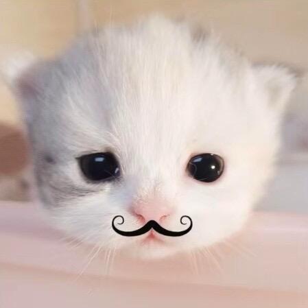 我脸才不圆呢🐽