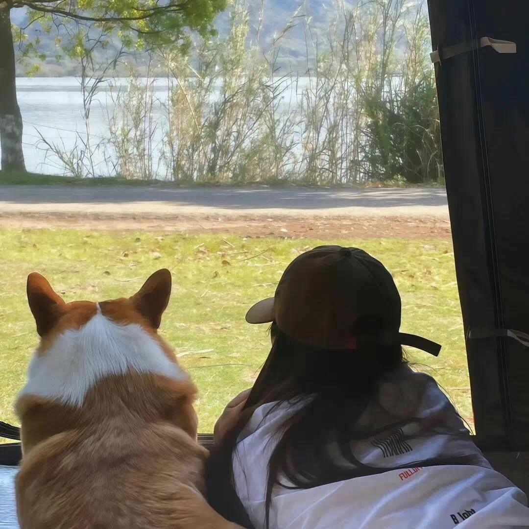 湾湾的月亮mm