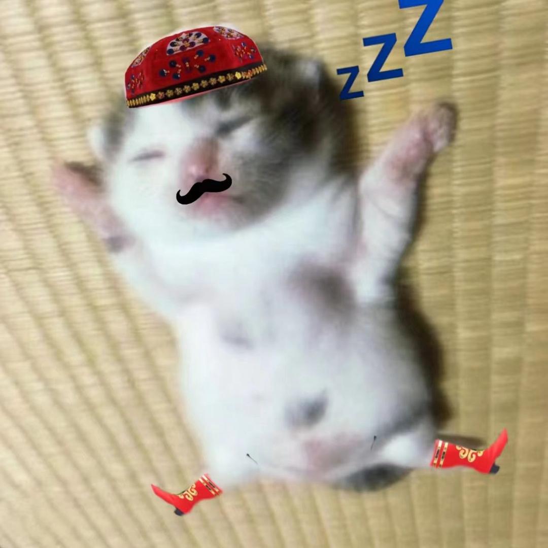 哈基敏º