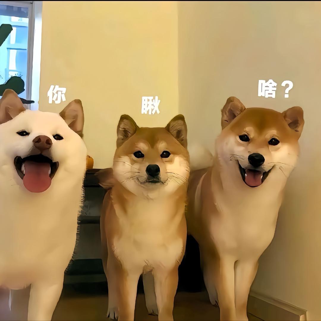 种草小达人