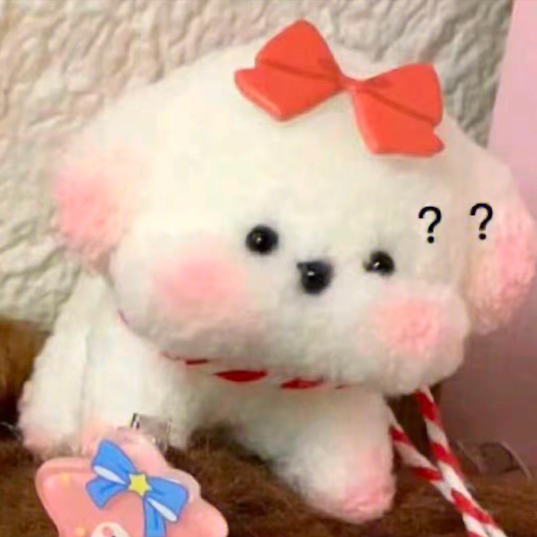 广州表姐奢选