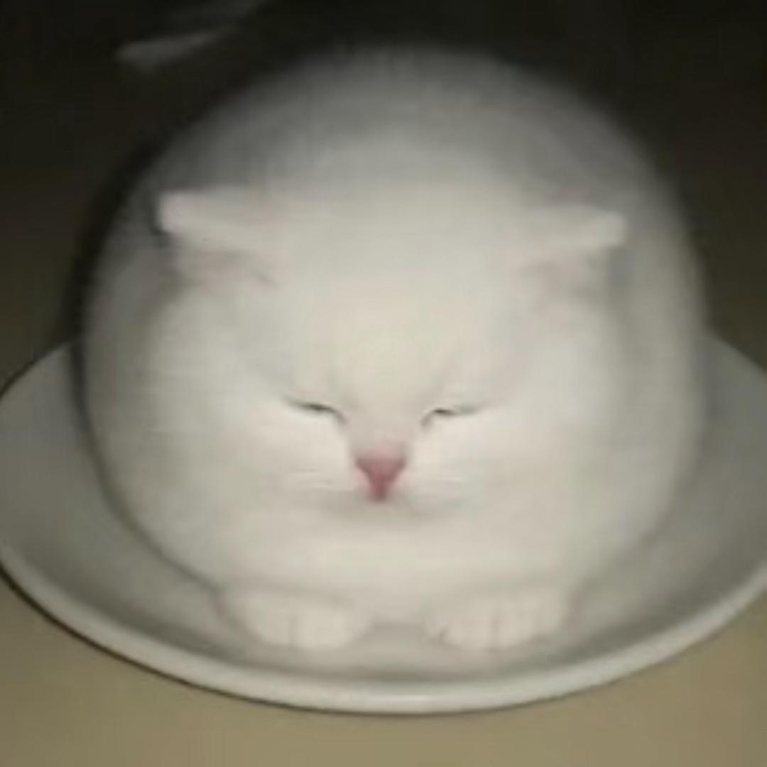 ？
