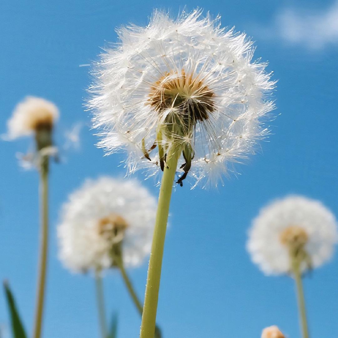 用户051613505202567