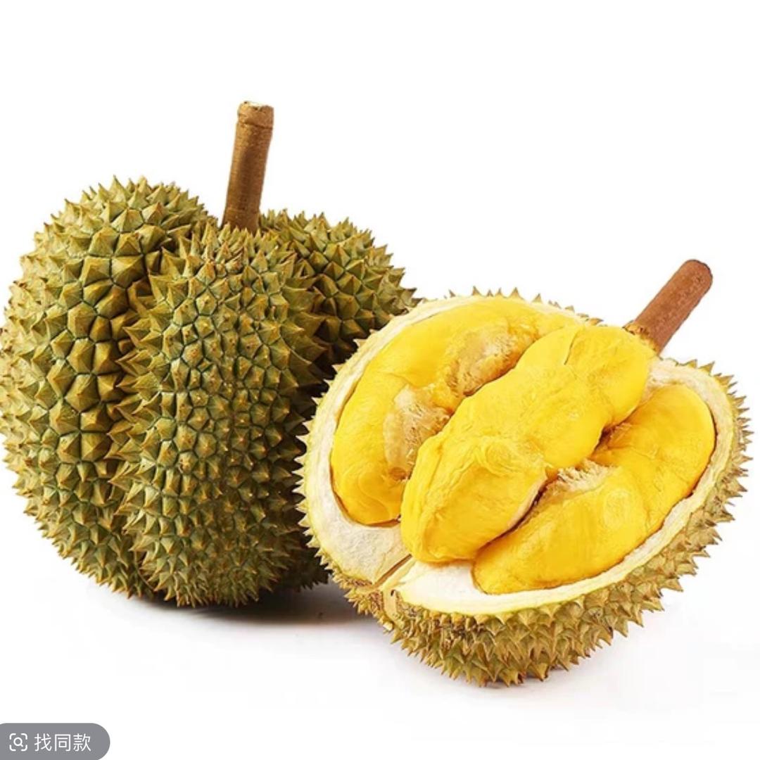 哒哒爱吃榴莲