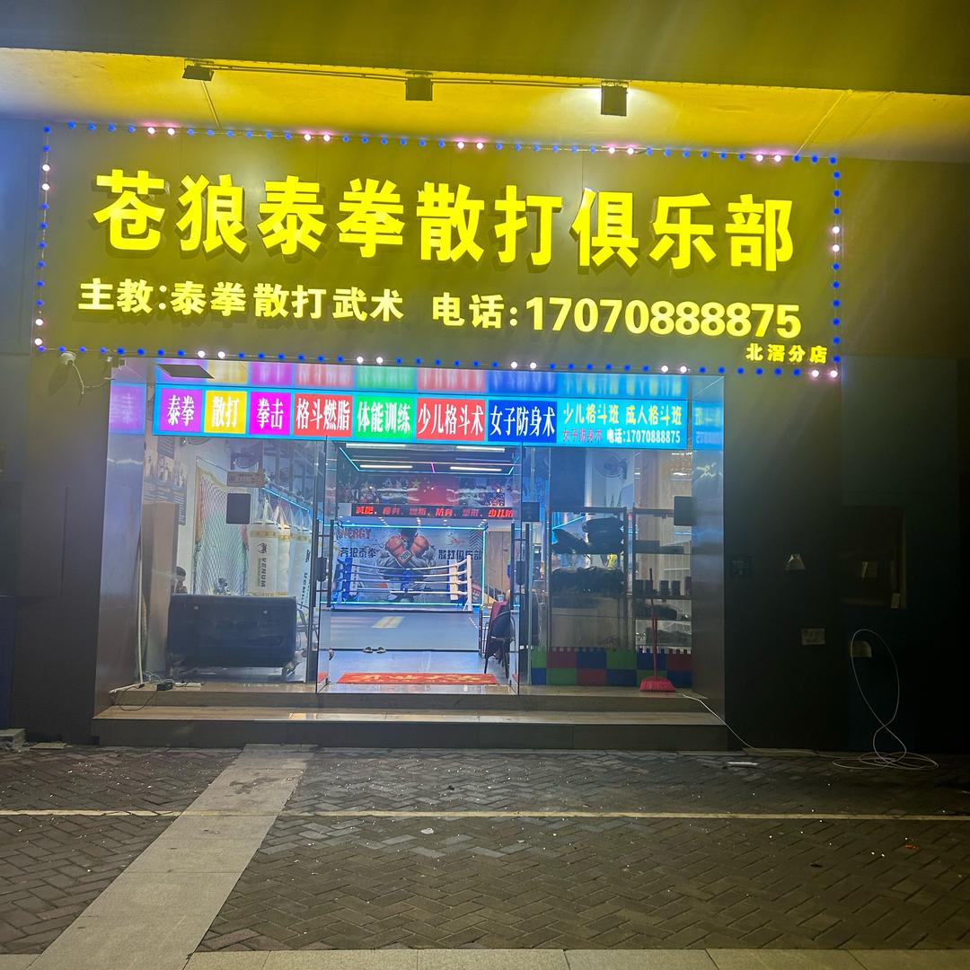 苍狼拳馆忘过从来