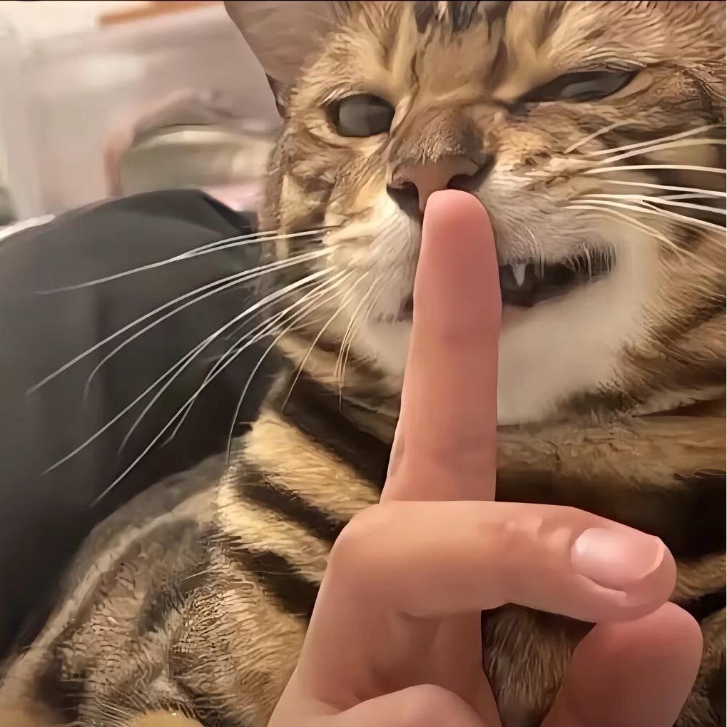 程早睡
