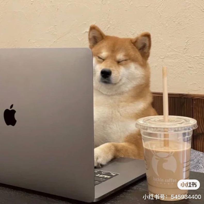 小初九