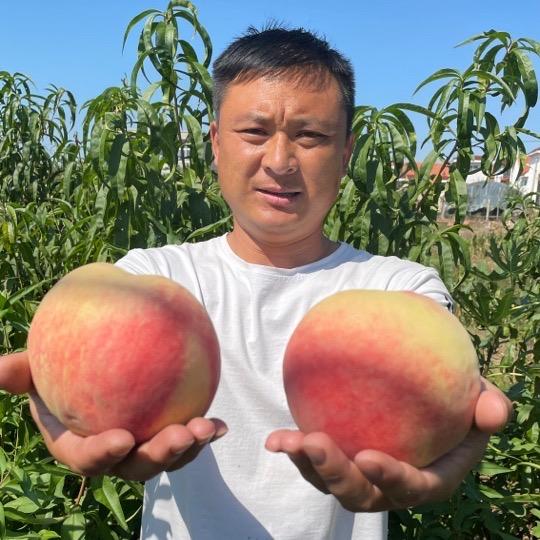 平邑县李哥花卉苗木经营中心