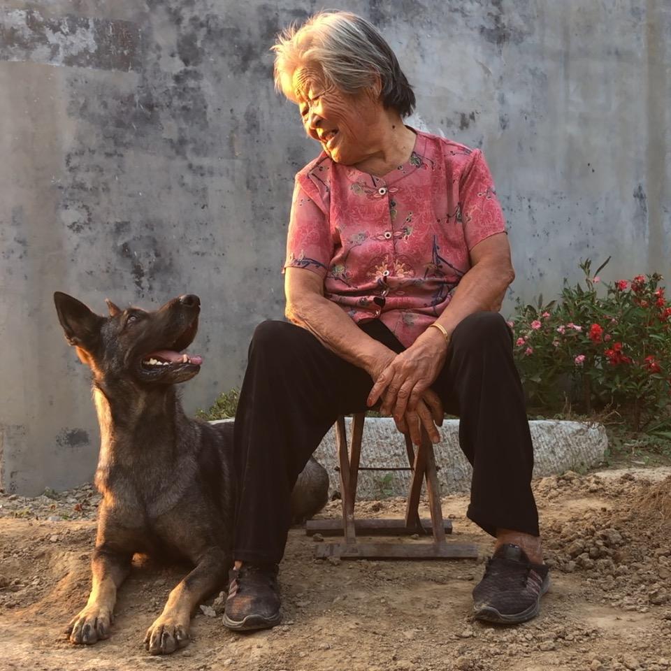 灰宝是乖宝@抖音