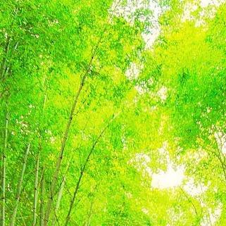 游戏中手