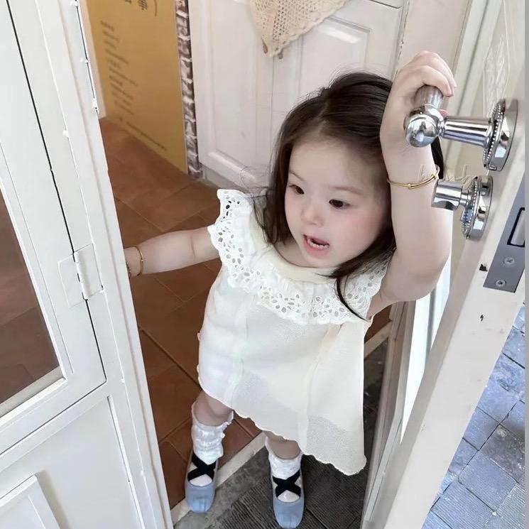 美洋羊