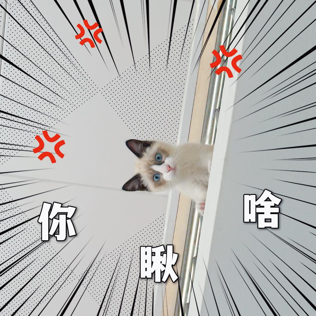 芒果剧