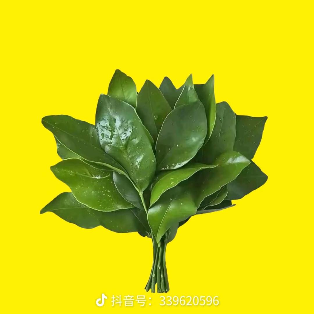 阿May-