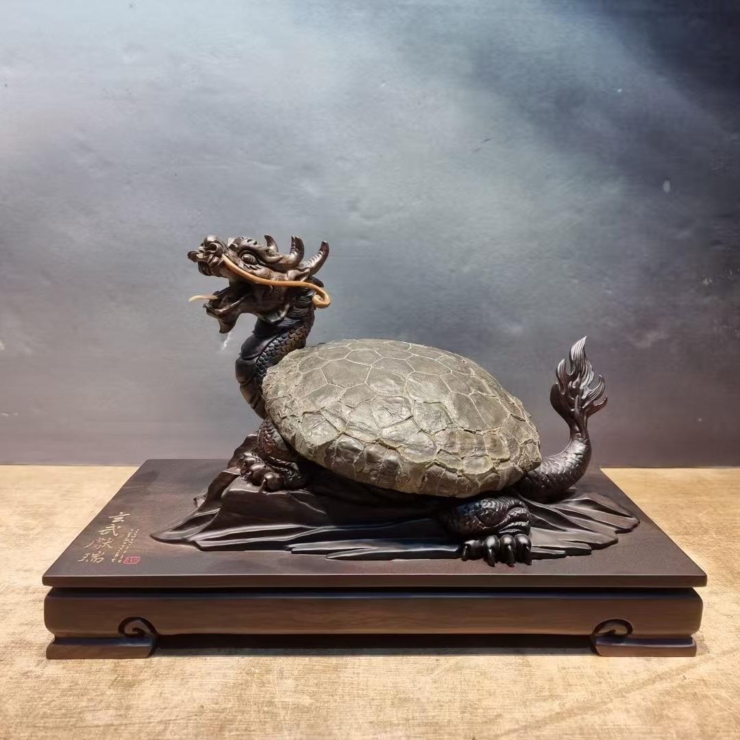 小欧龟纹石