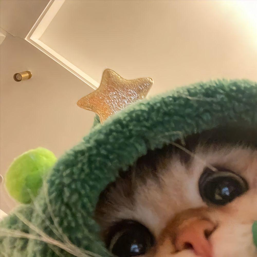 下次再告诉你