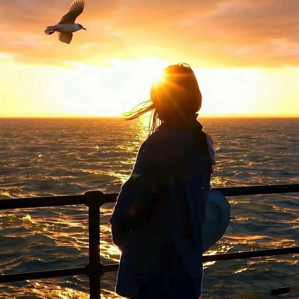 有料有料超有料🐬