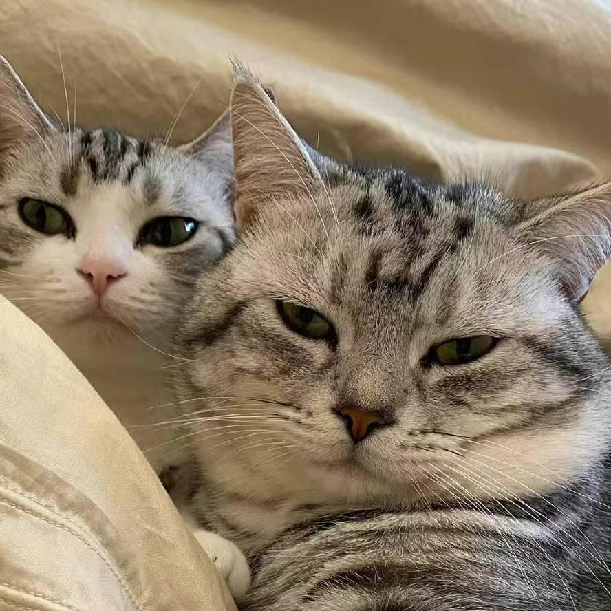 佳