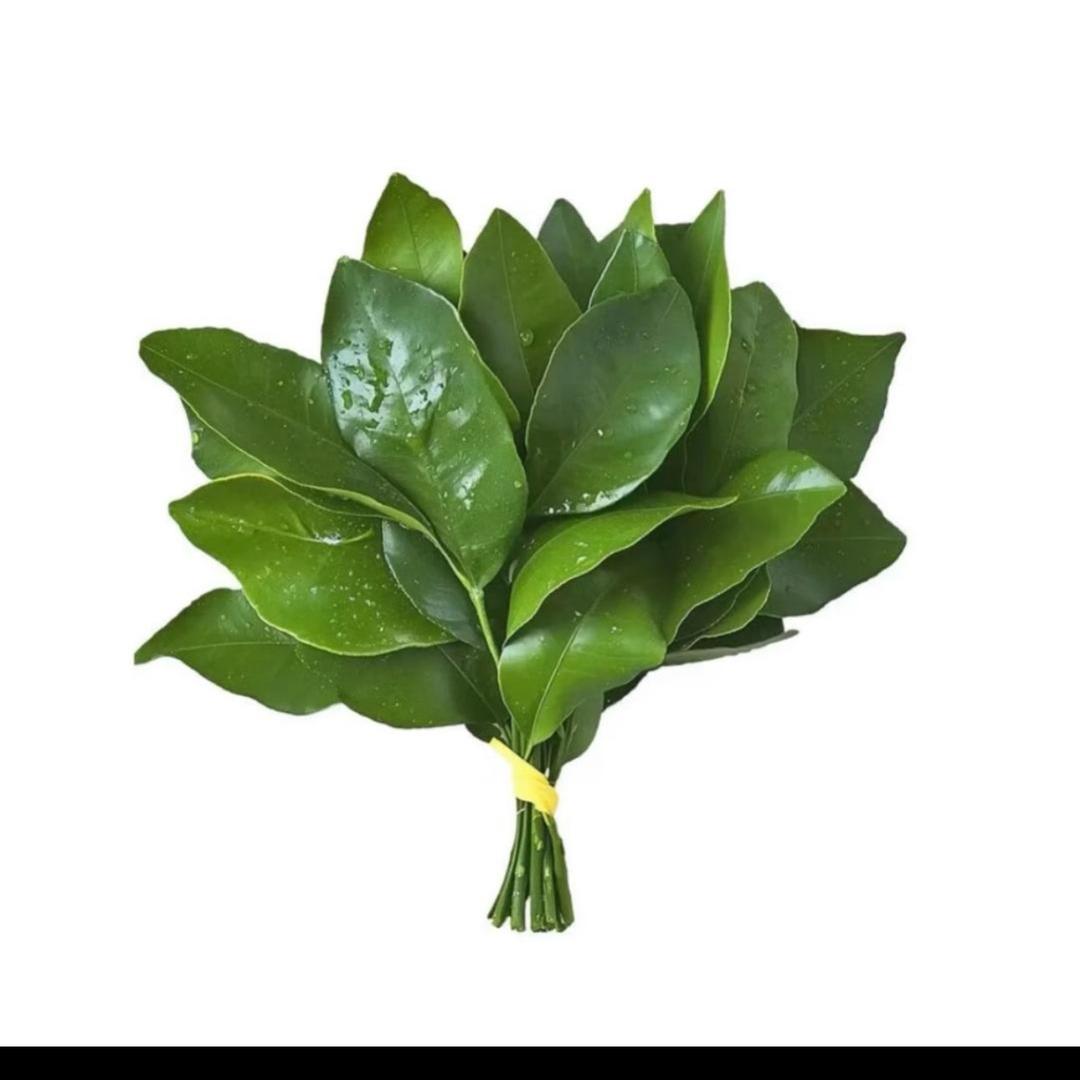 重生之我在宝坻卖扣肉