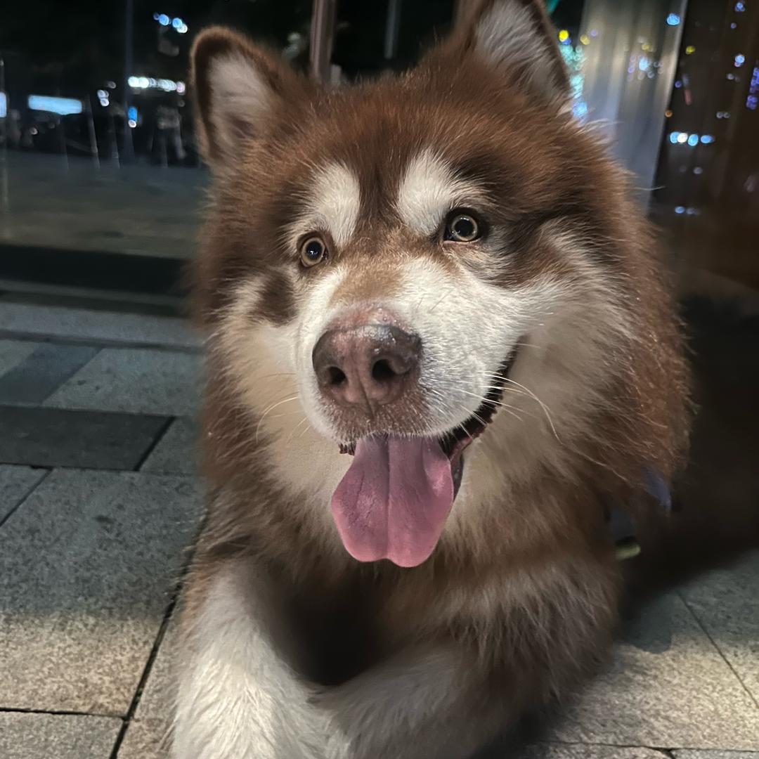 云清
