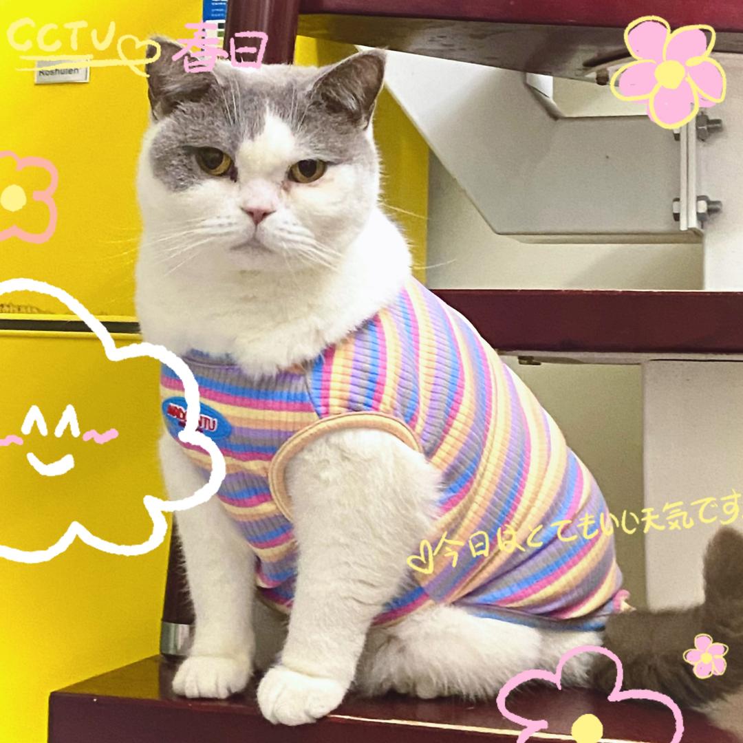 汤姆汽饰精品店