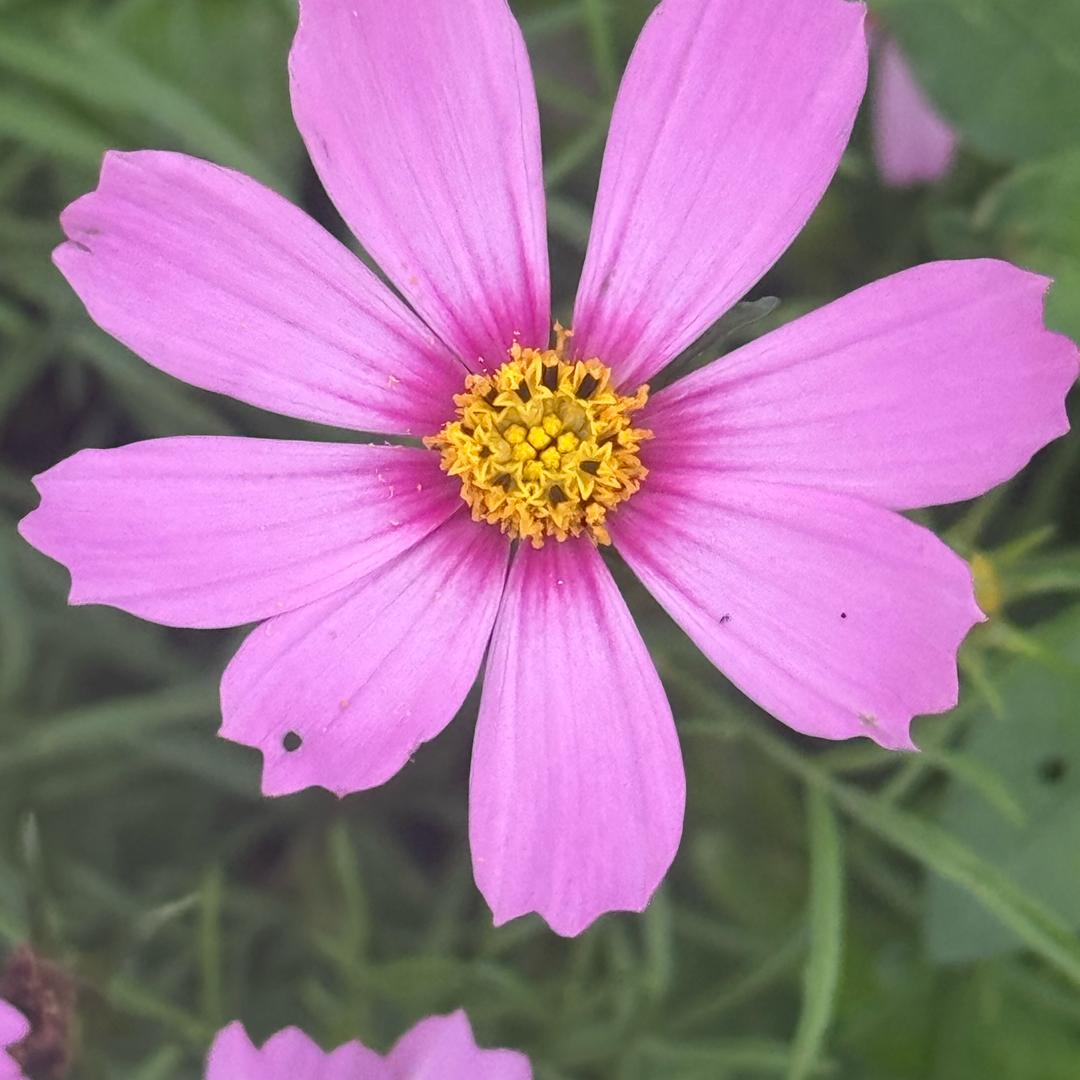 情到浓时爱到深处