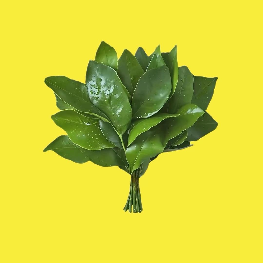 蕾蕾的盆友圈