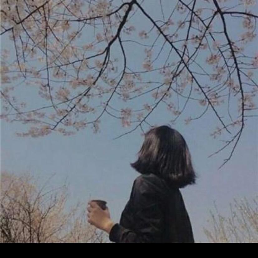 苏娟-和麦贺达集团