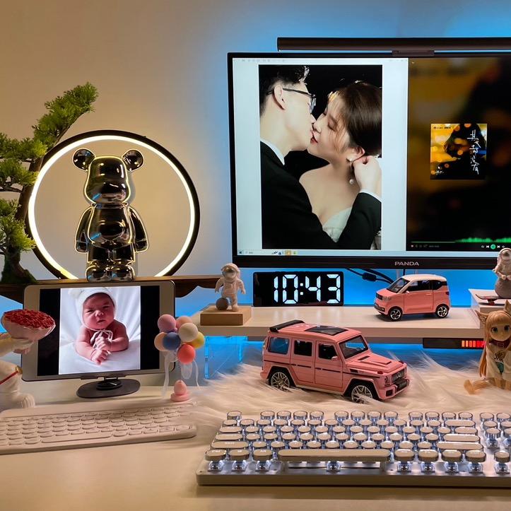 我有一只（小米）猪╰つ