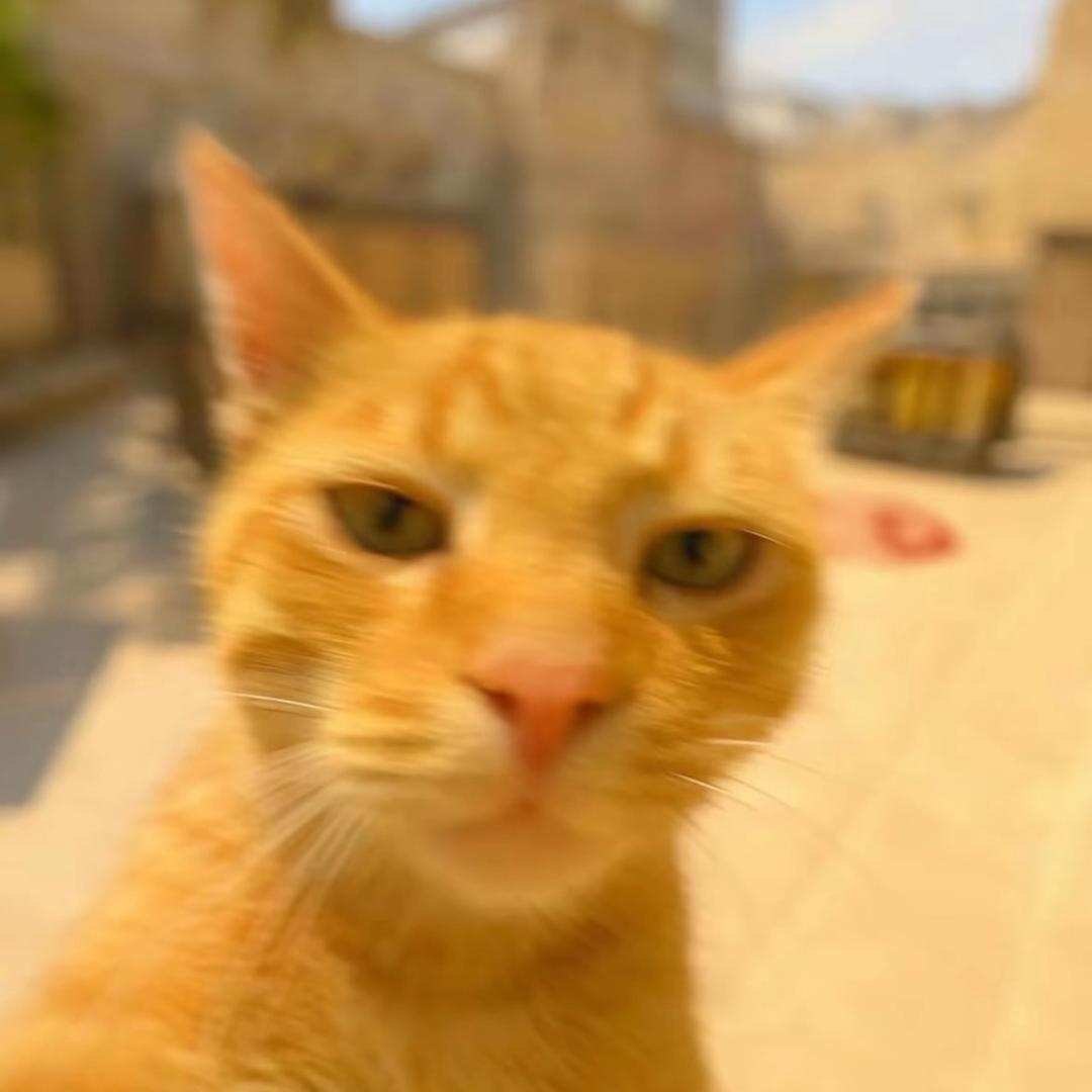 wjq