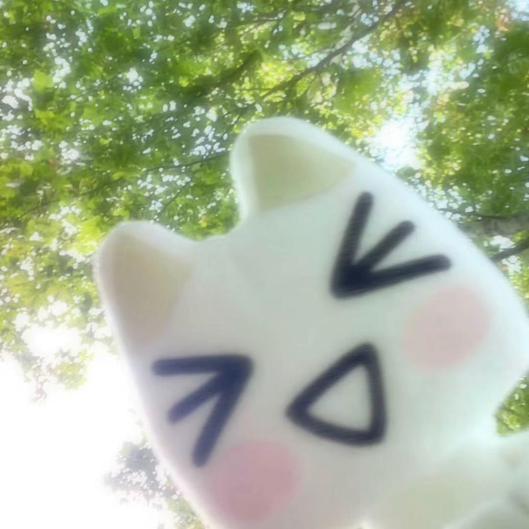 亦小婉