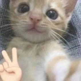 七分