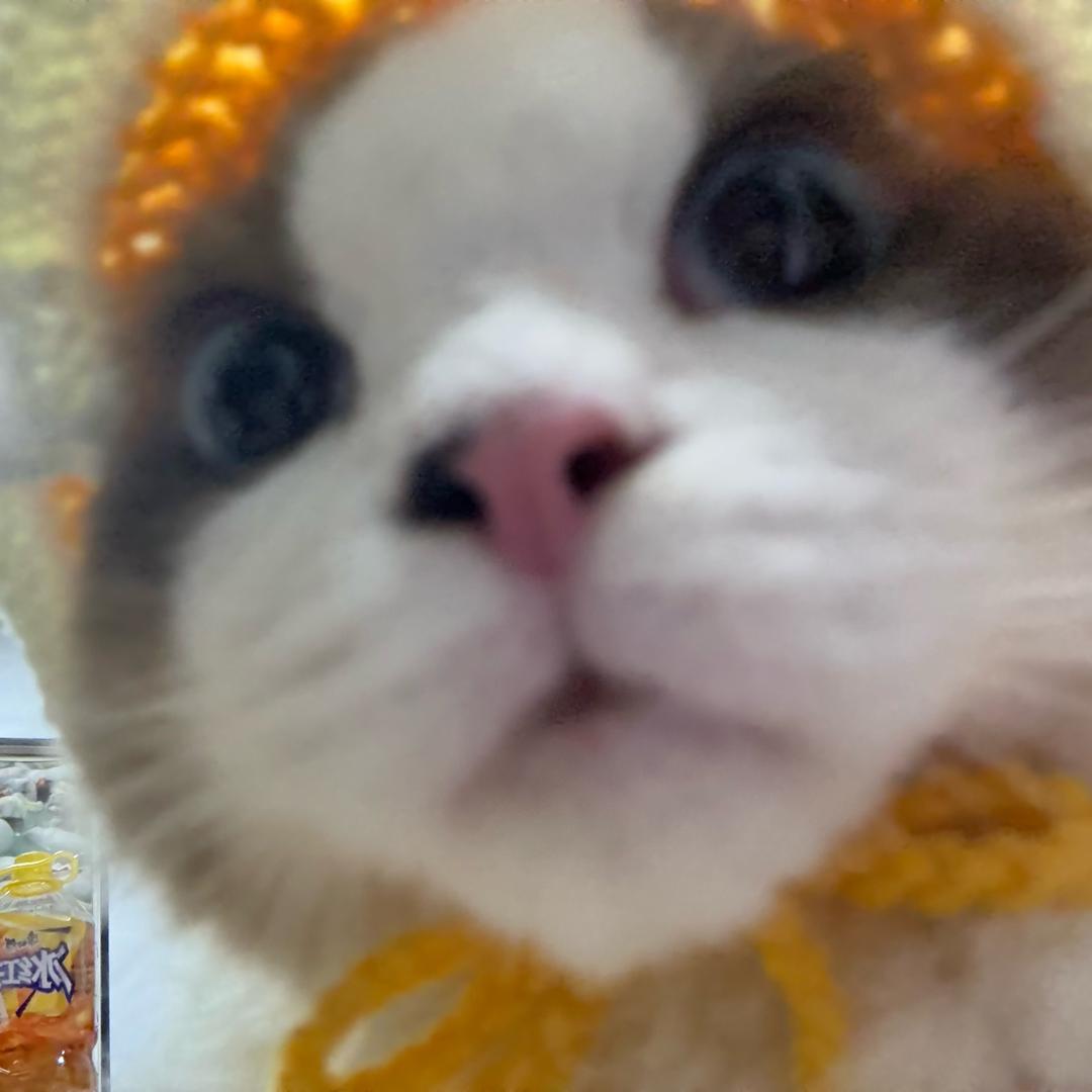 听湫祈冬息