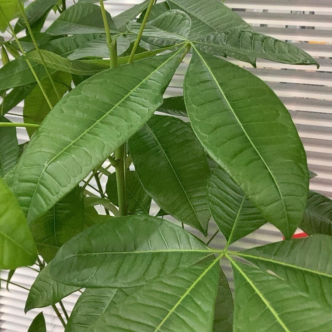 微风优质小卖铺