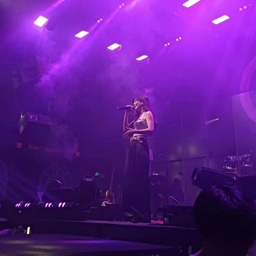 了不起的蚂蚁🐜