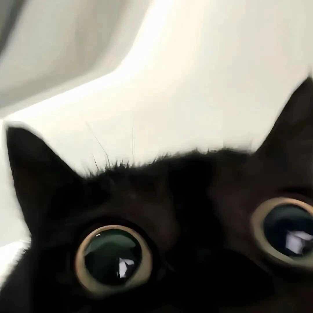 哇呼呼呼