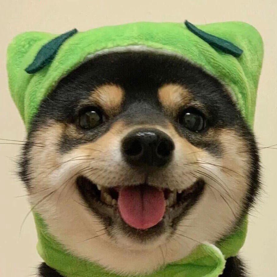 百分百～